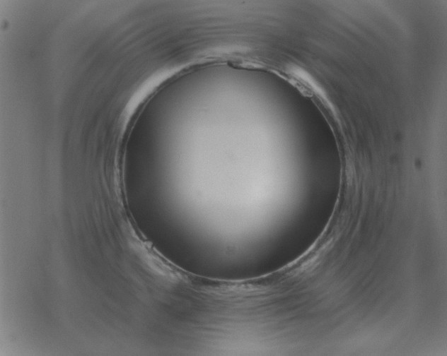 X0000077391336200611101745