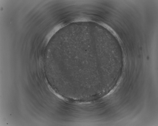 X0000077391337200611101745