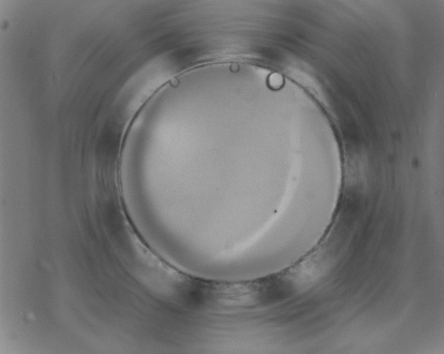 X0000077391338200611101745