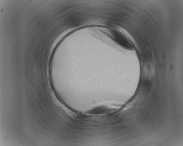 X0000077391339200611101745