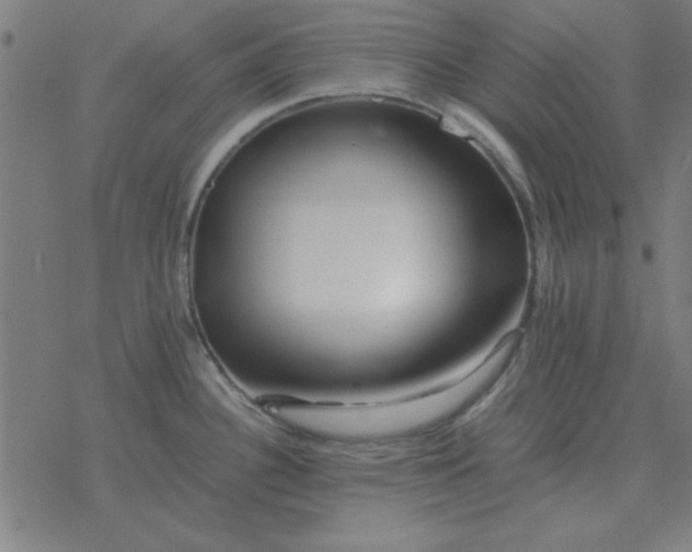 X0000077391340200611101745