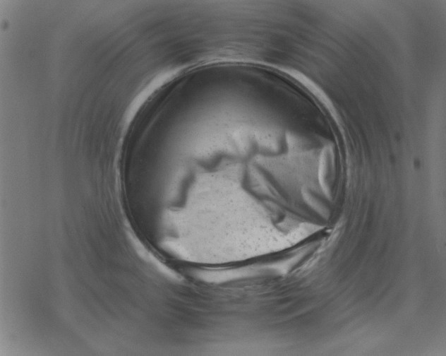 X0000077391341200611101745