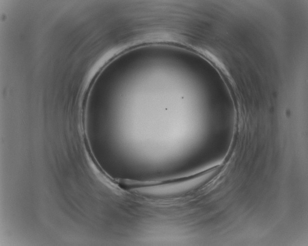 X0000077391342200611101745