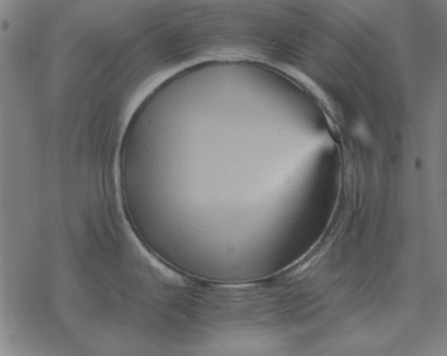 X0000077391343200611101745