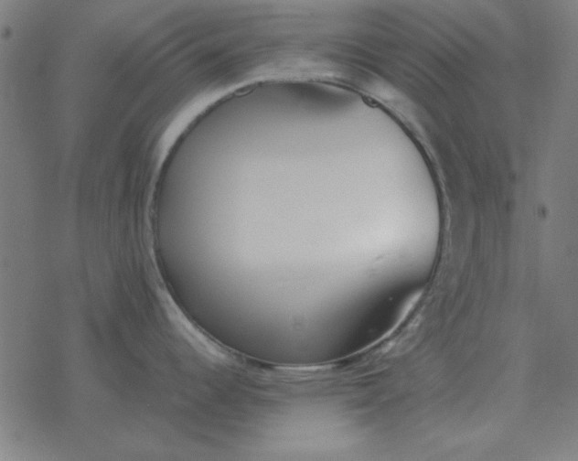 X0000077391344200611101745