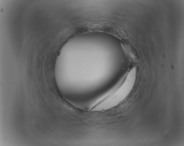 X0000077391345200611101744