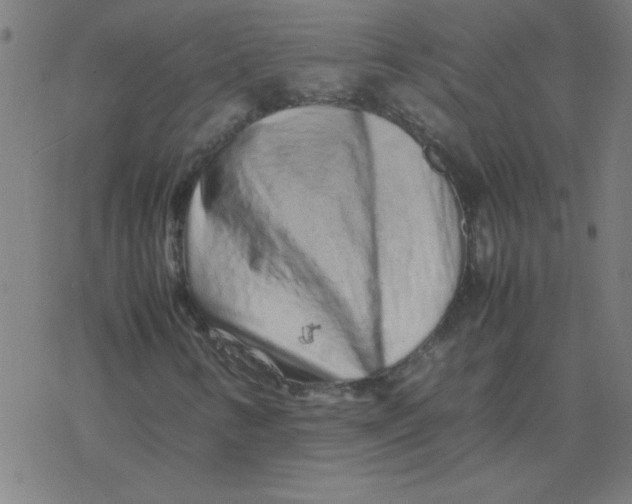 X0000077391346200611101744