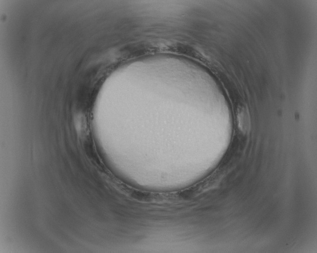 X0000077391347200611101744