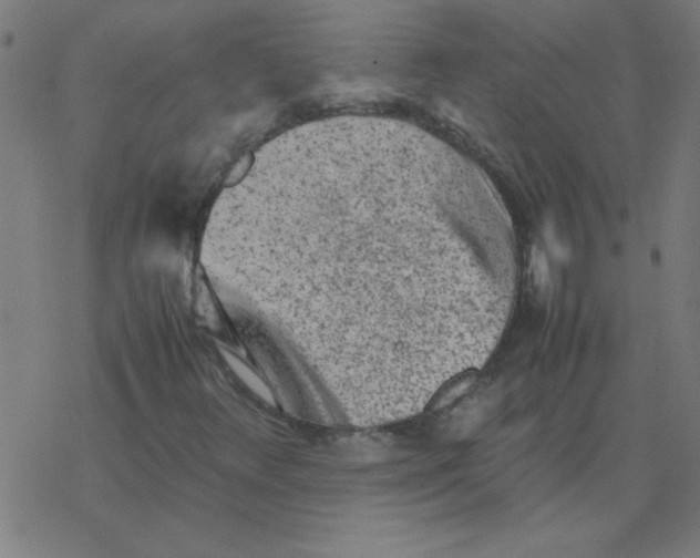 X0000077391348200611101744