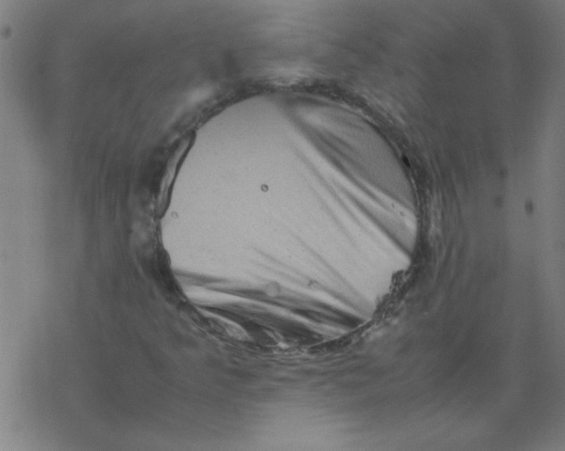 X0000077391349200611101744