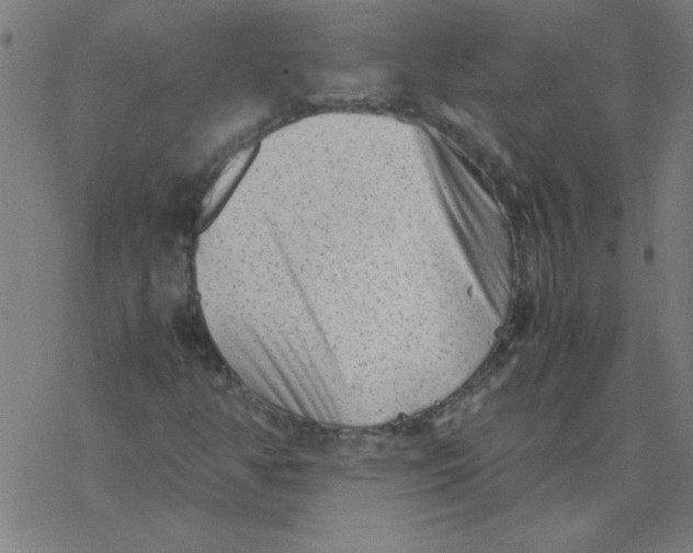 X0000077391350200611101744