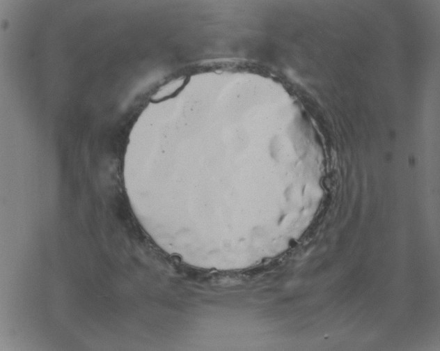 X0000077391351200611101744