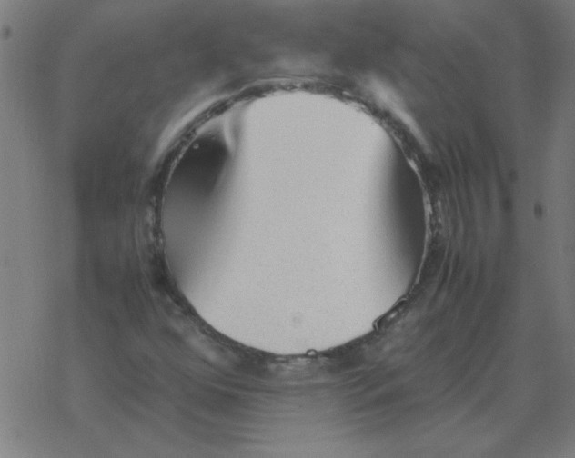 X0000077391352200611101744