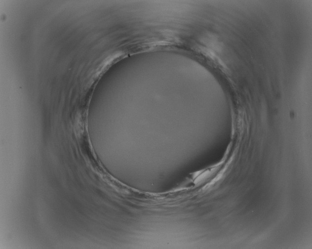 X0000077391353200611101744