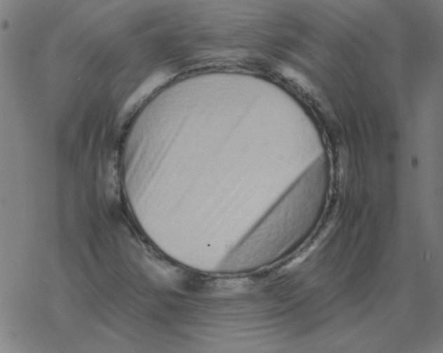 X0000077391354200611101744