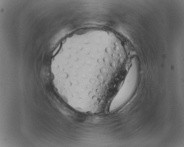 X0000077391355200611101744