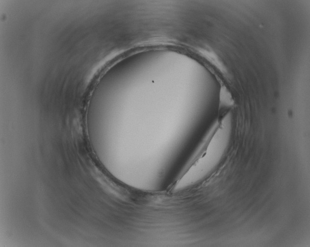 X0000077391356200611101744