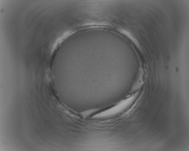 X0000077391357200611101744