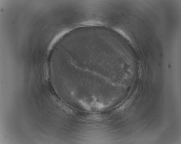 X0000077391358200611101744