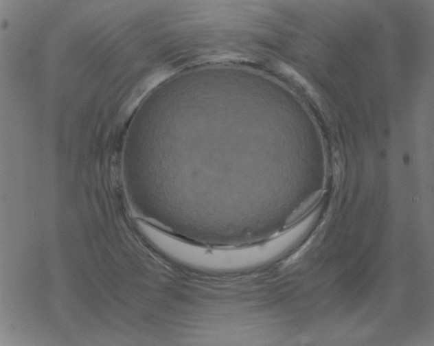 X0000077391361200611101744