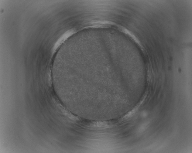 X0000077391362200611101744