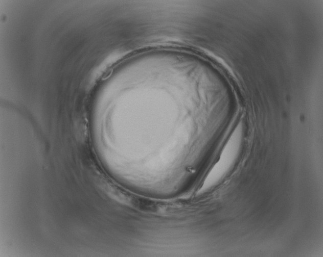 X0000077391363200611101744