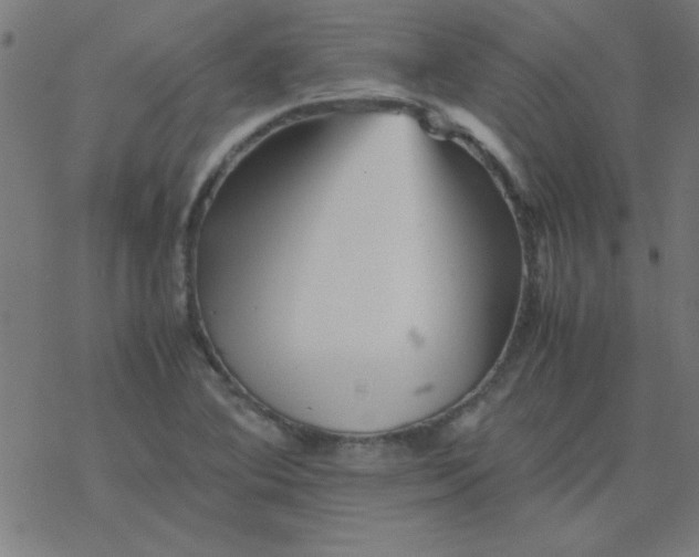 X0000077391364200611101744