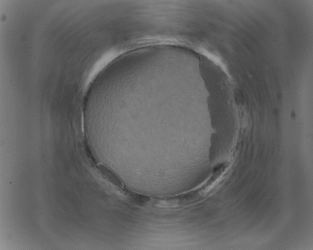 X0000077391365200611101744