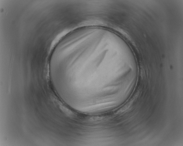 X0000077391366200611101744