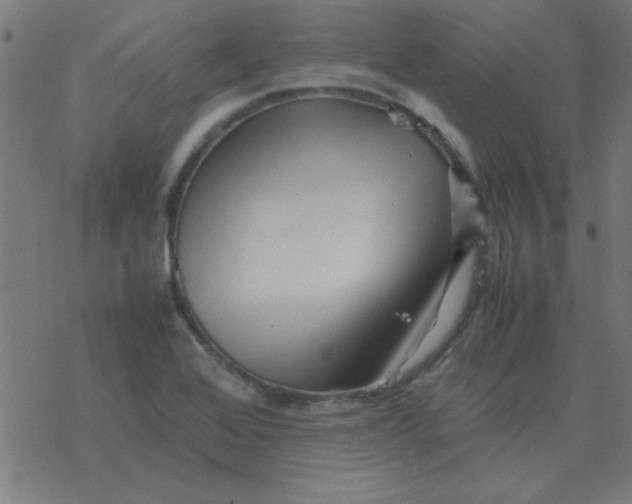 X0000077391368200611101744