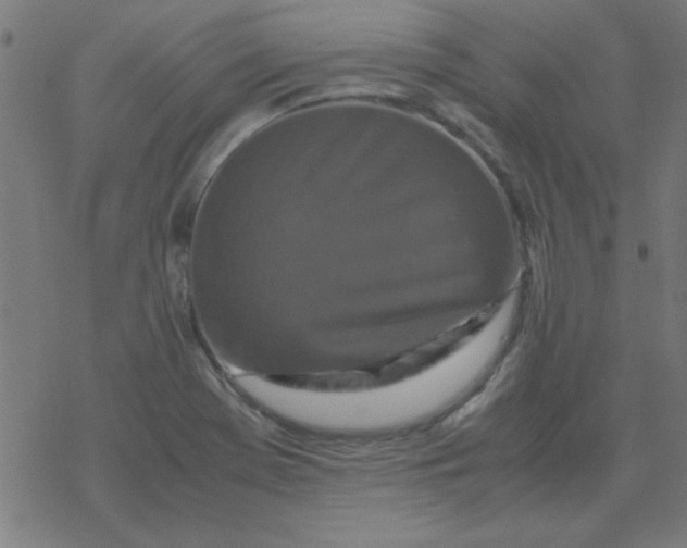 X0000077391369200611101744