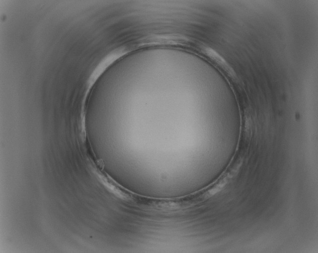 X0000077391370200611101744