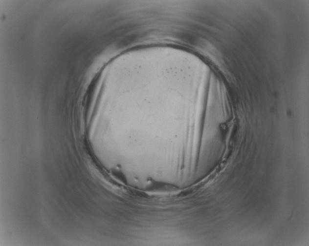 X0000077391371200611101744