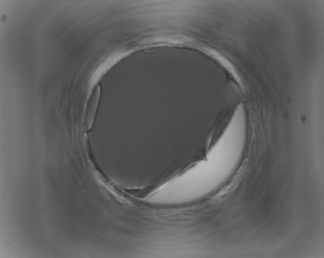 X0000077391373200611101744