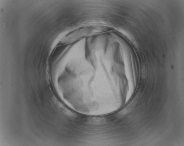 X0000077391374200611101744