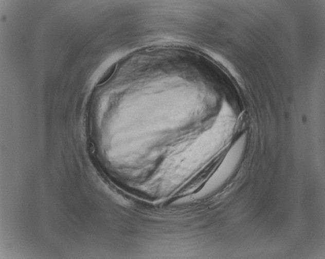 X0000077391375200611101744