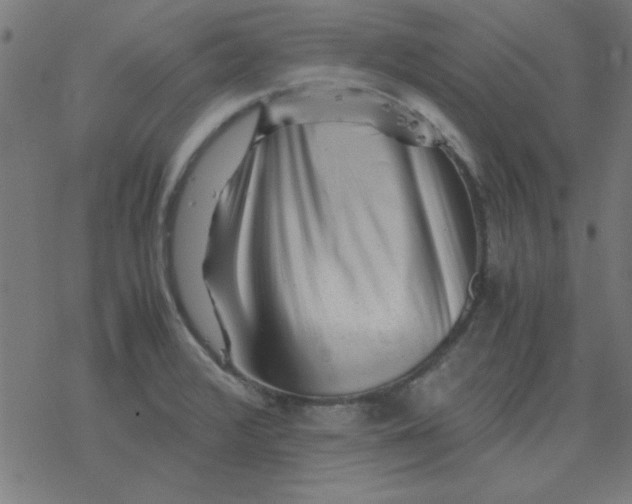 X0000077391376200611101744