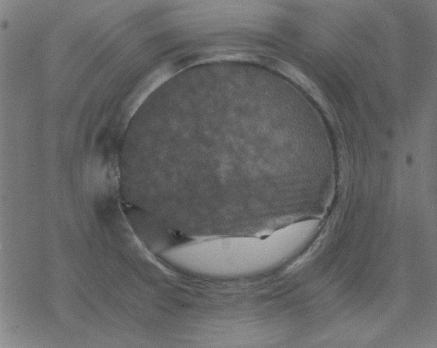 X0000077391377200611101744