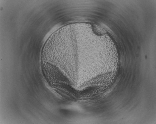 X0000077391378200611101744