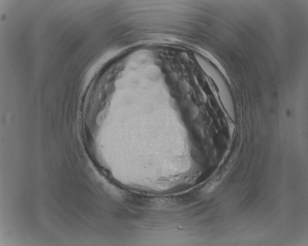 X0000077391379200611101743