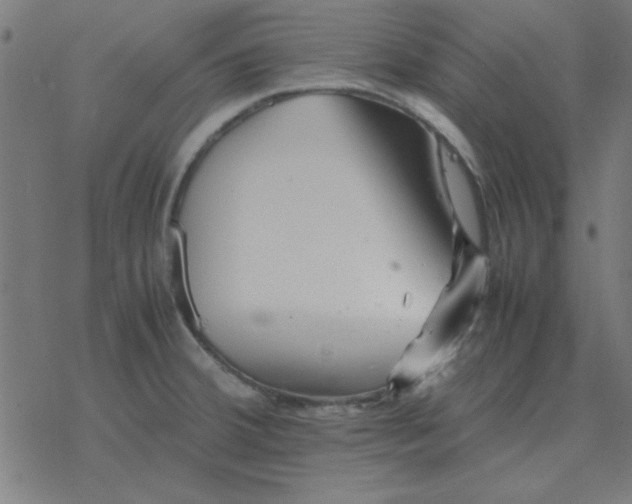 X0000077391380200611101743