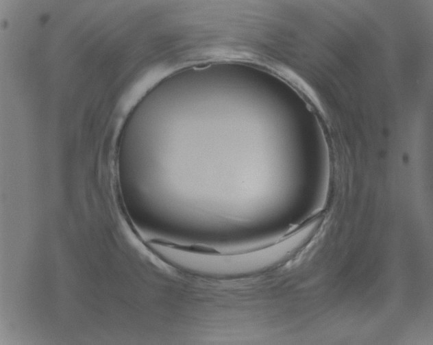 X0000077391381200611101743