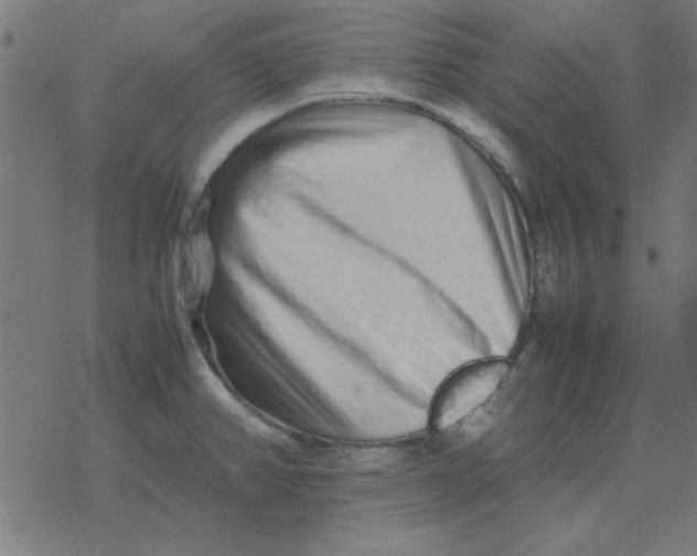 X0000077391382200611101743