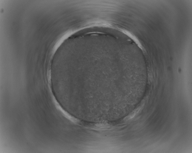 X0000077391383200611101743