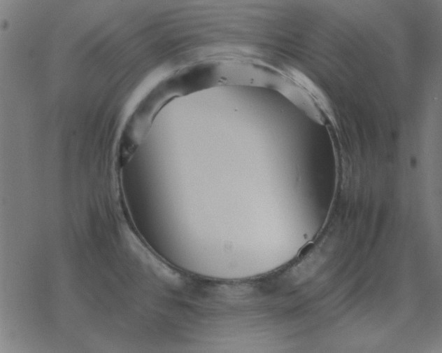 X0000077391384200611101743