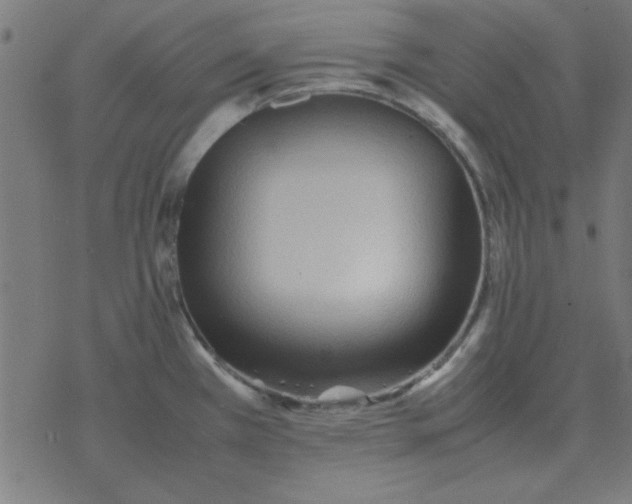 X0000077391385200611101743