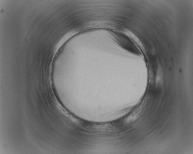 X0000077391386200611101743