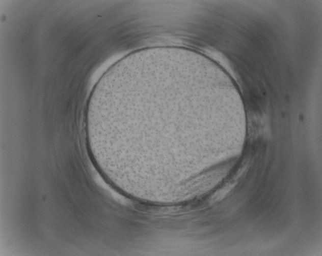 X0000077391387200611101743