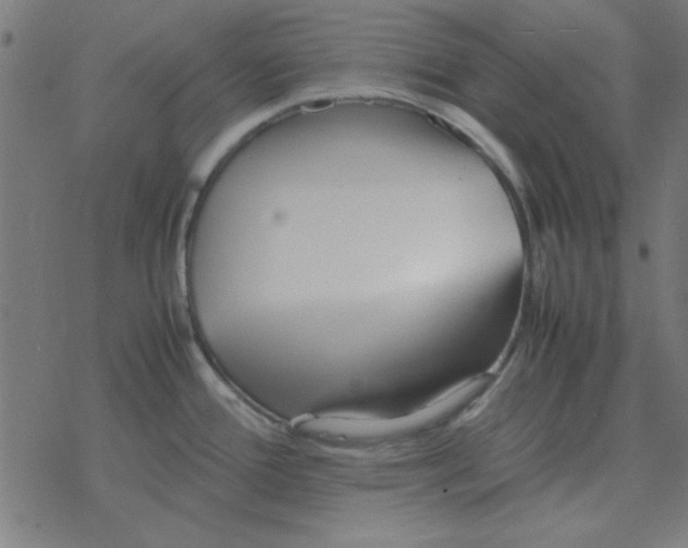 X0000077391388200611101743