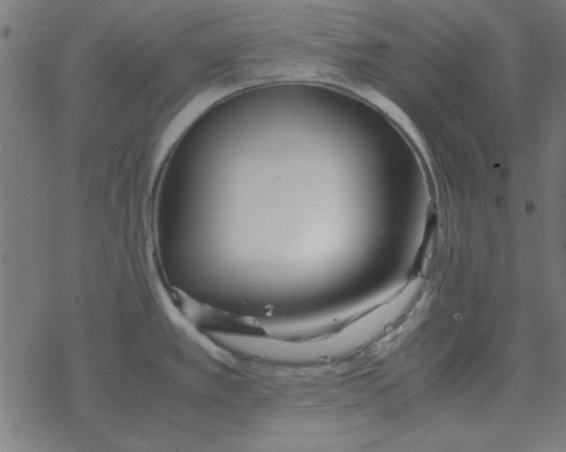 X0000077391389200611101743